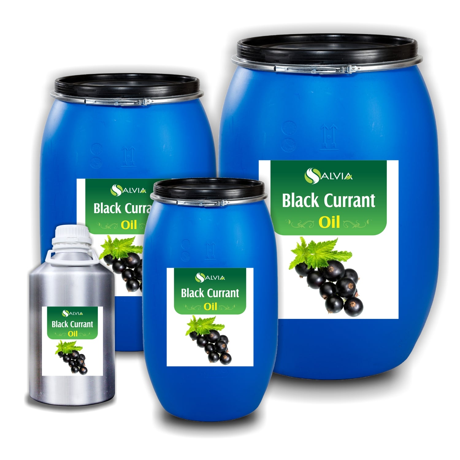 Salvia Natural Essential Oils 10kg Black Currant Oil